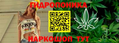 мяу мяу кристалл Кинель